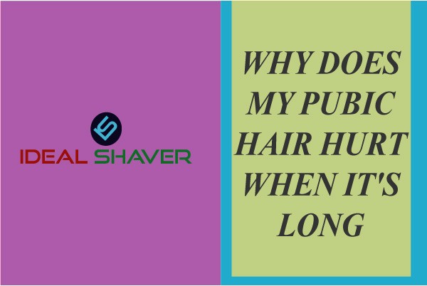 Why Does My Pubic Hair Hurt When It s Long Update In 2020 
